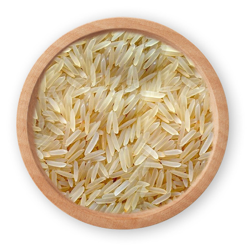1509 Golden Sella Rice